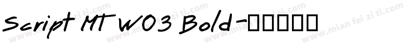Script MT W03 Bold字体转换